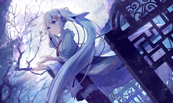 五蒙高速今日正式通车